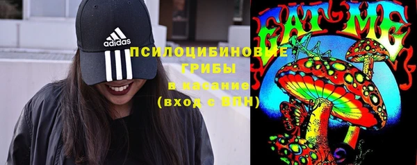 прущий лед Фурманов