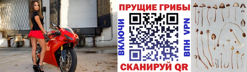 Галлюциногенные грибы Magic Shrooms  hydra маркетплейс  Алатырь  дарнет шоп 