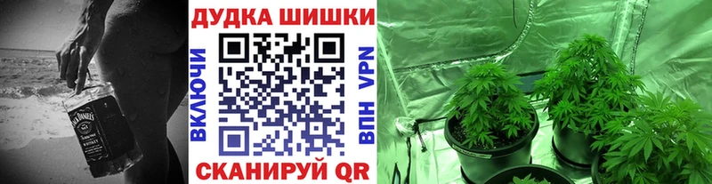 Шишки марихуана гибрид Алатырь